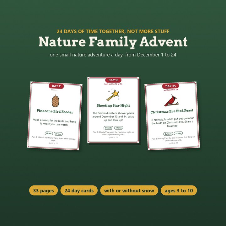 Nature family advent day cards for a pinecone bird feeder, shooting stars and a Christmas Eve bird feast