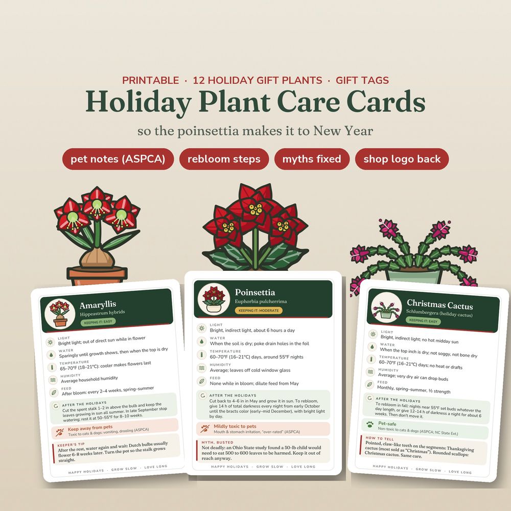 Sagestead Holiday Plant Care Cards for poinsettia, Christmas cactus, amaryllis and other gift plants